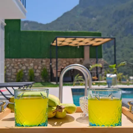 Villa Montana 1 Fethiye