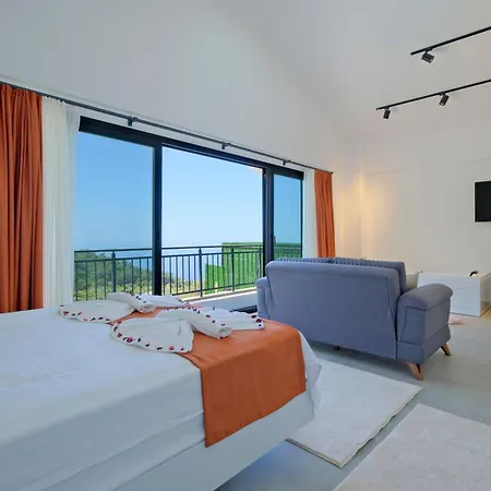 Montana 1 * Φετιγιέ